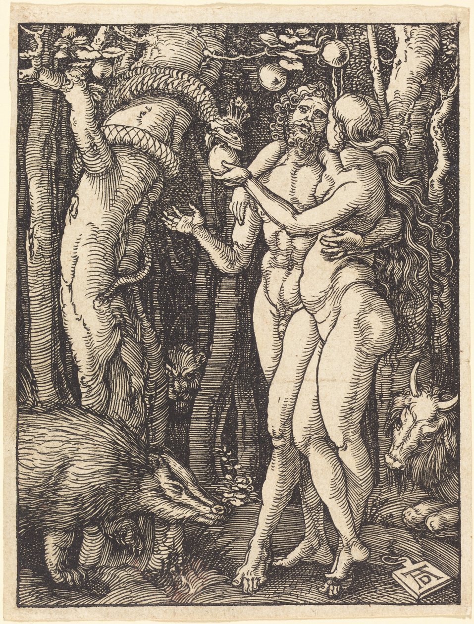 Upadek człowieka autorstwa Albrecht Dürer