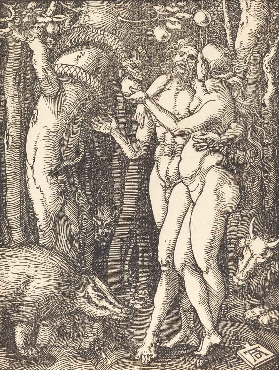 Upadek człowieka, prawdopodobnie ok. 15091510. autorstwa Albrecht Dürer