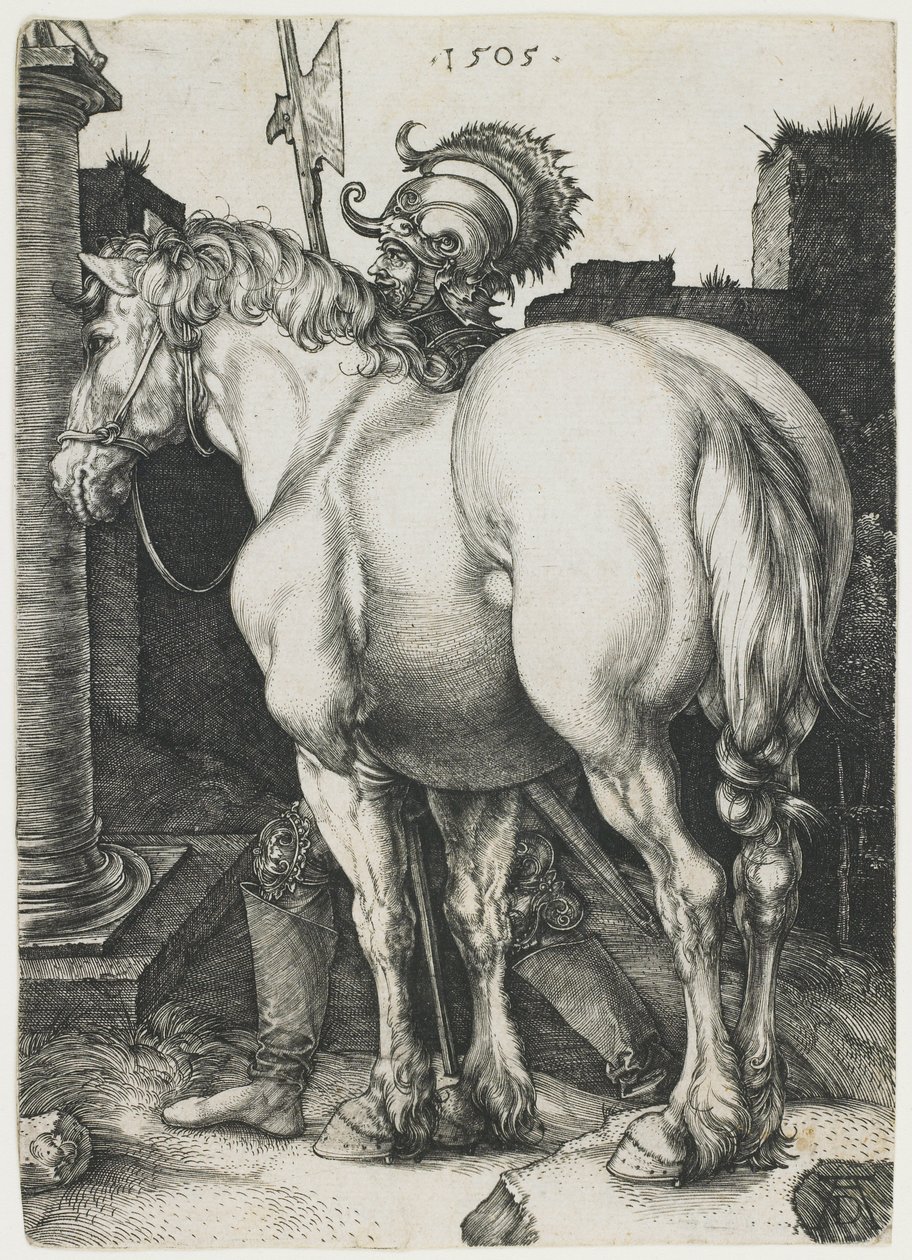Wielki Koń autorstwa Albrecht Dürer