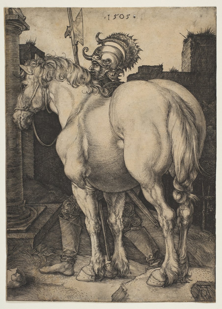 Wielki koń autorstwa Albrecht Dürer