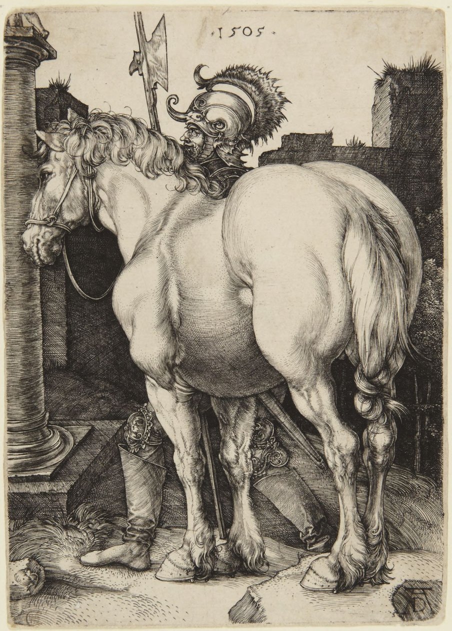 Wielki koń autorstwa Albrecht Dürer
