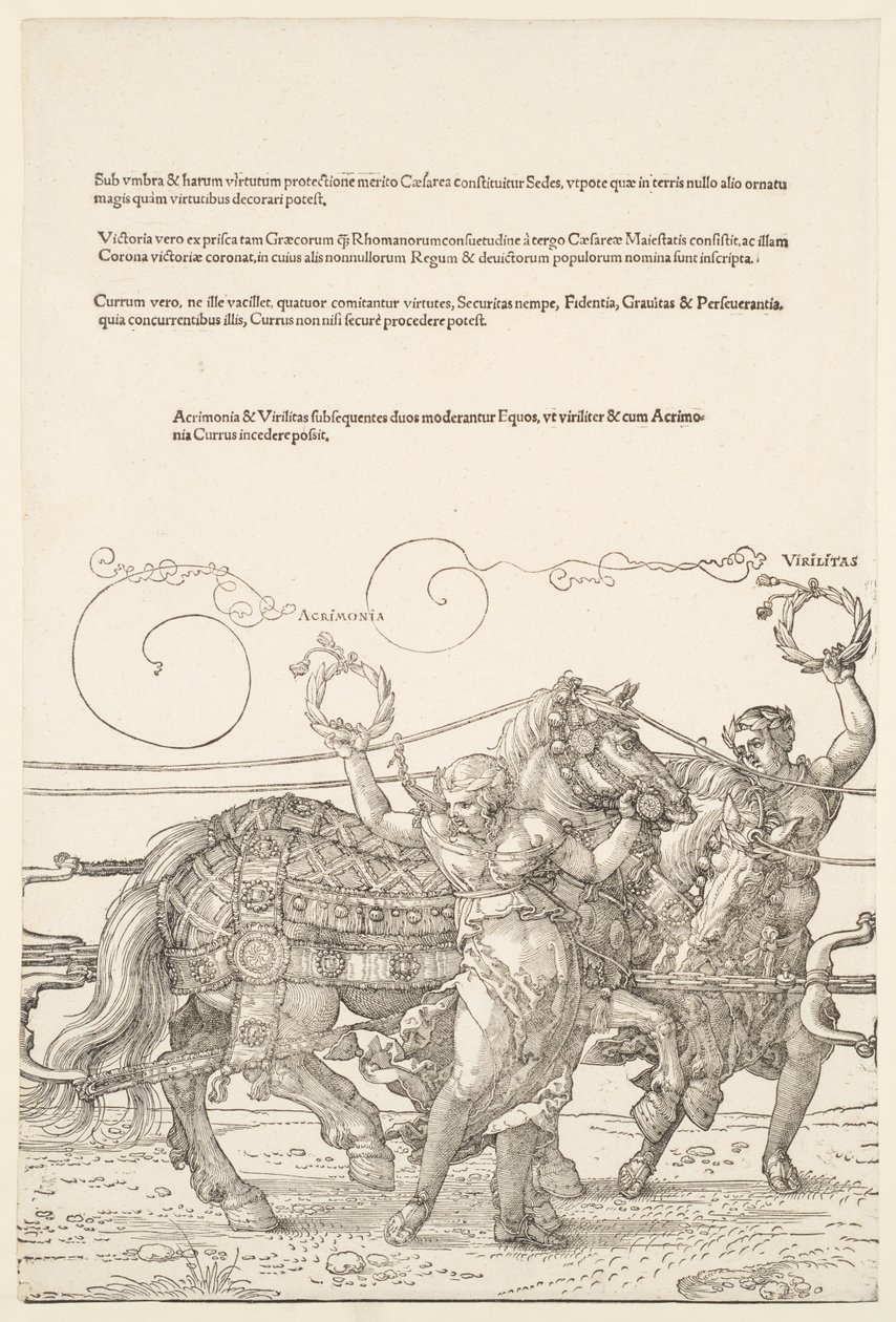 Wielki rydwan triumfalny: Acrimonia i Virilitas autorstwa Albrecht Dürer