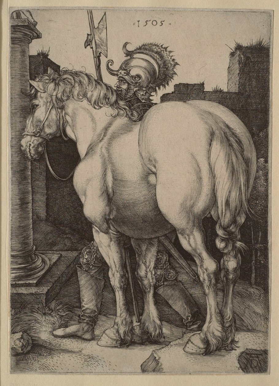 Wielki koń autorstwa Albrecht Dürer
