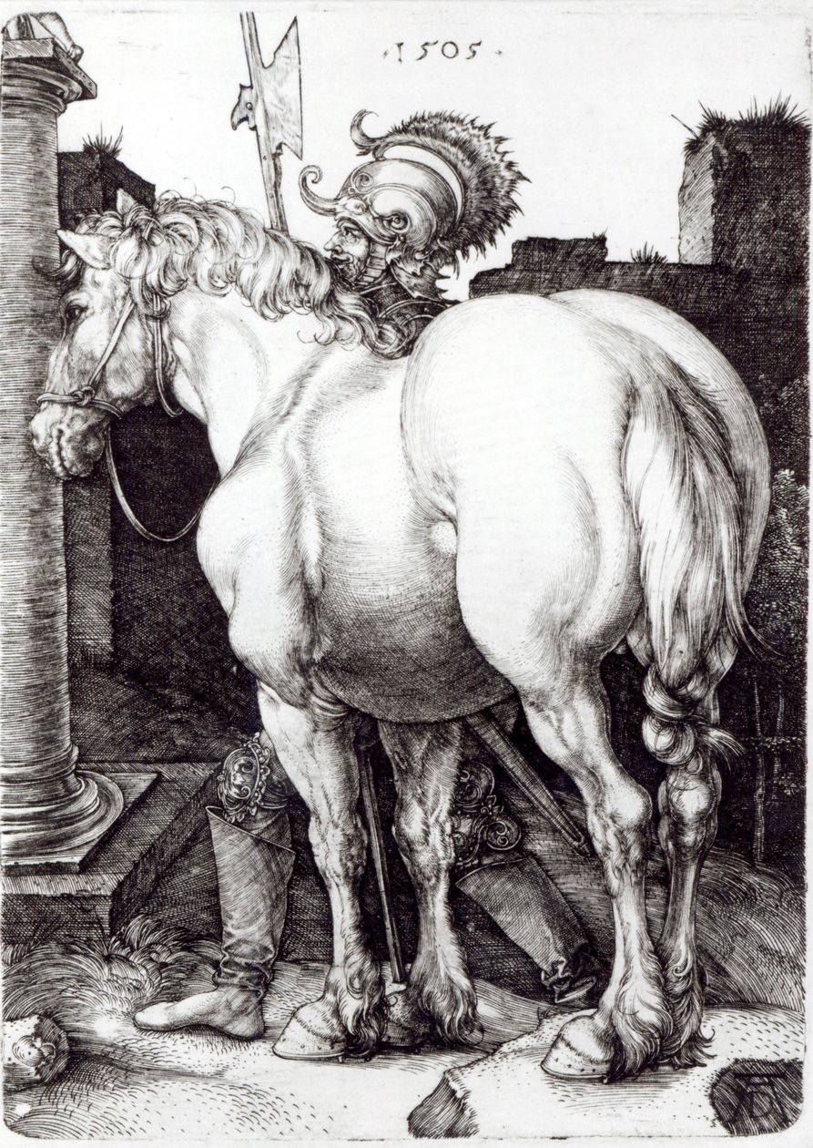 Duży koń, 1509 autorstwa Albrecht Dürer