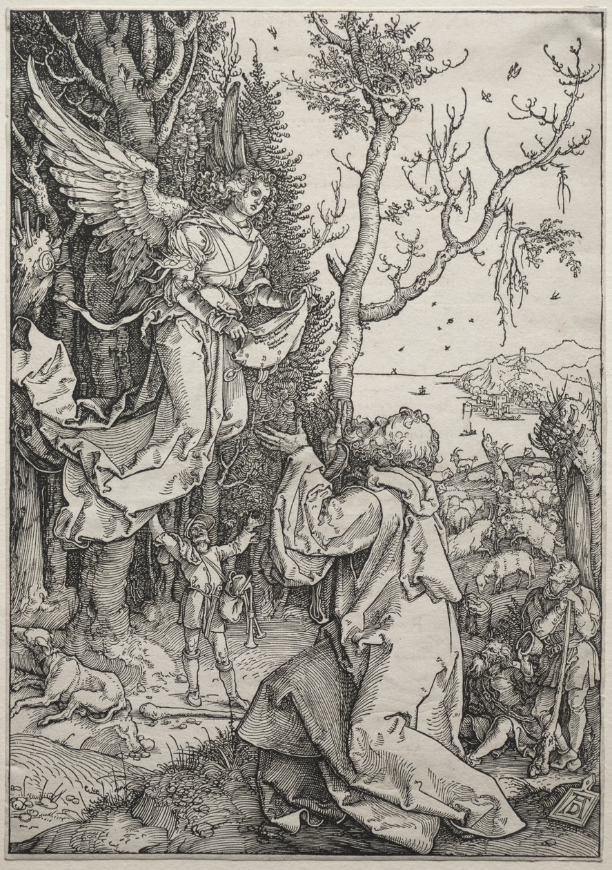 Życie Dziewicy: Joachim i Anioł autorstwa Albrecht Dürer