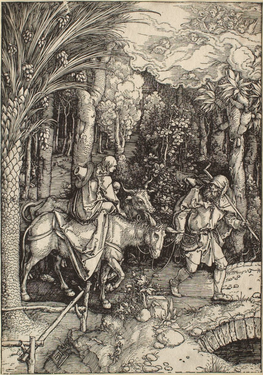 Życie Marii Dziewicy: Ucieczka do Egiptu autorstwa Albrecht Dürer