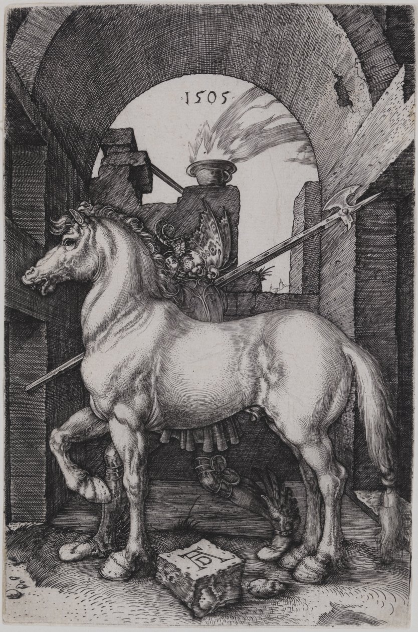 Mały koń autorstwa Albrecht Dürer