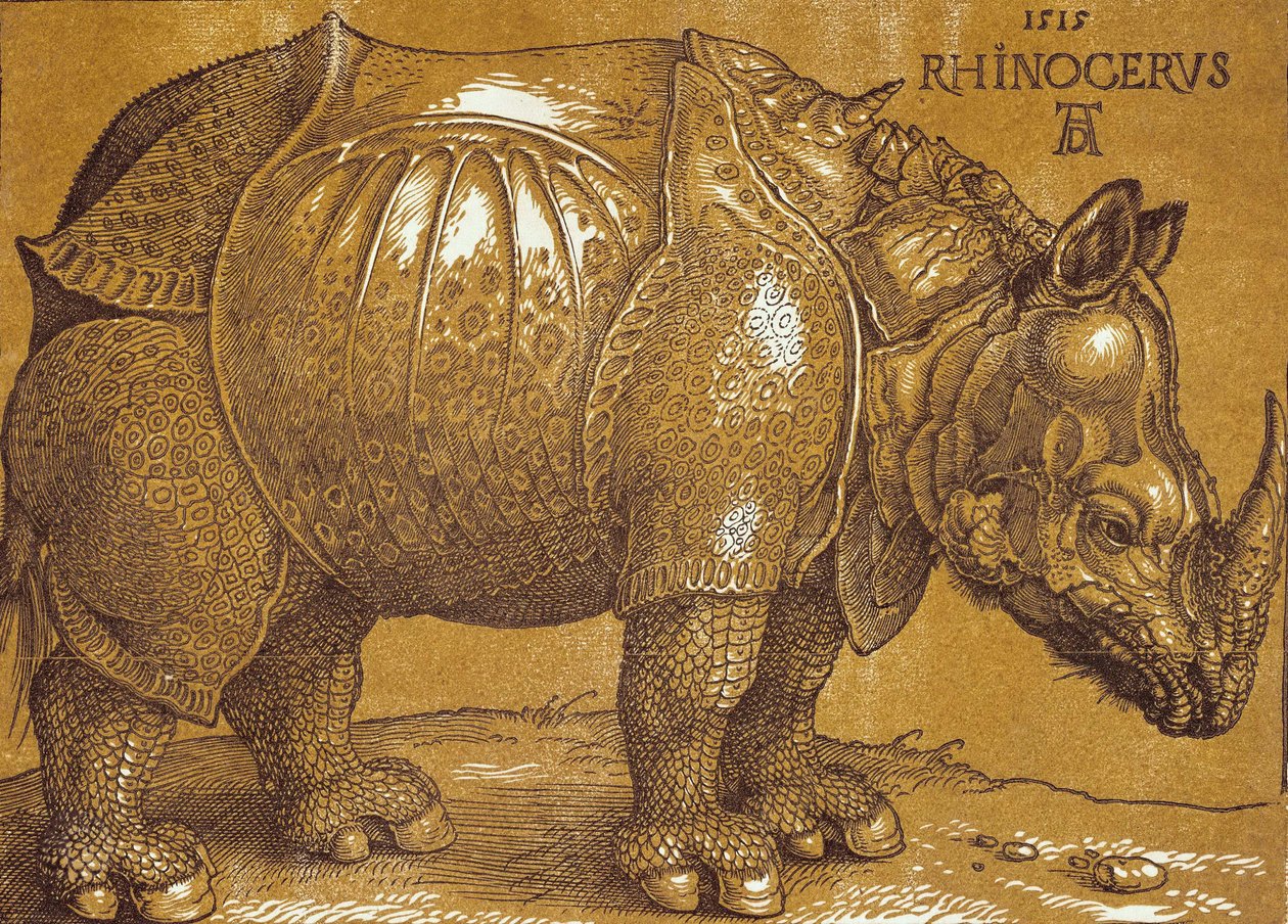 Nosorożec, 1515. autorstwa Albrecht Dürer
