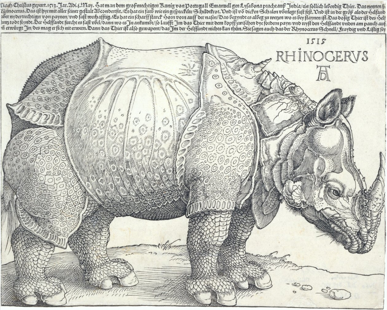 Nosorożec, 1515., 1515. autorstwa Albrecht Dürer