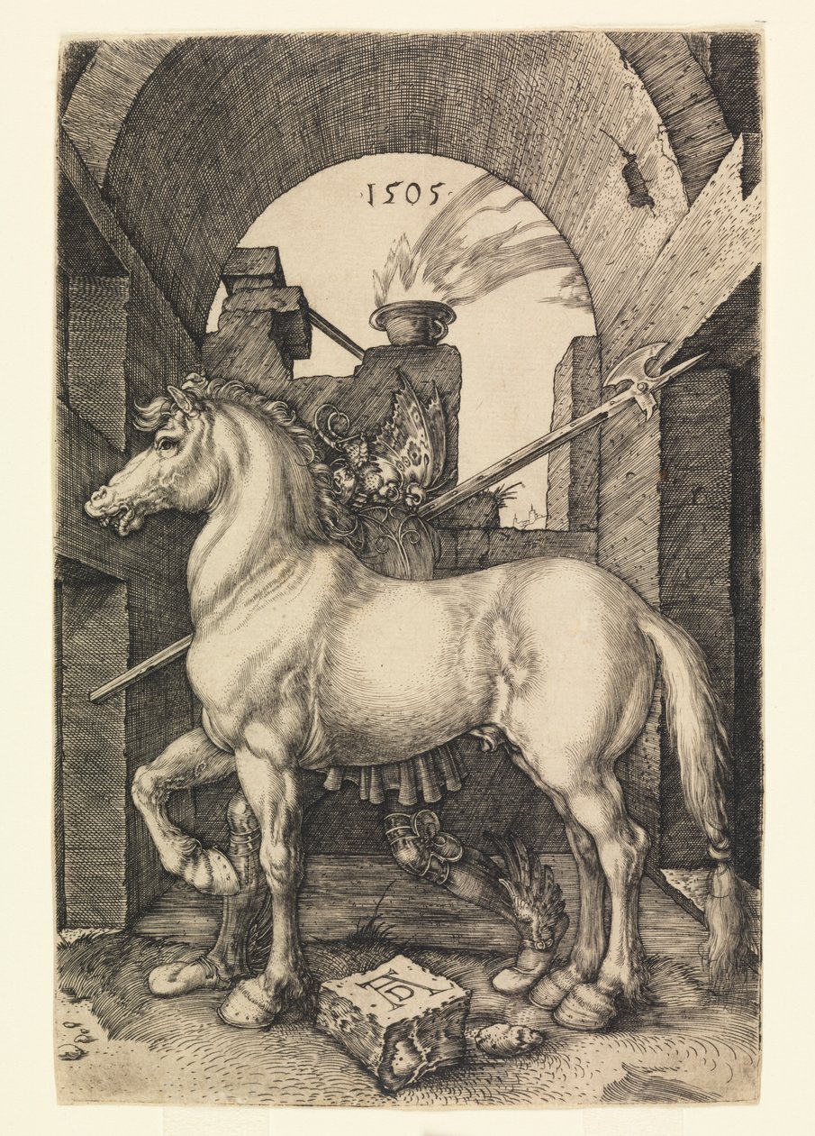 Mały Koń autorstwa Albrecht Dürer