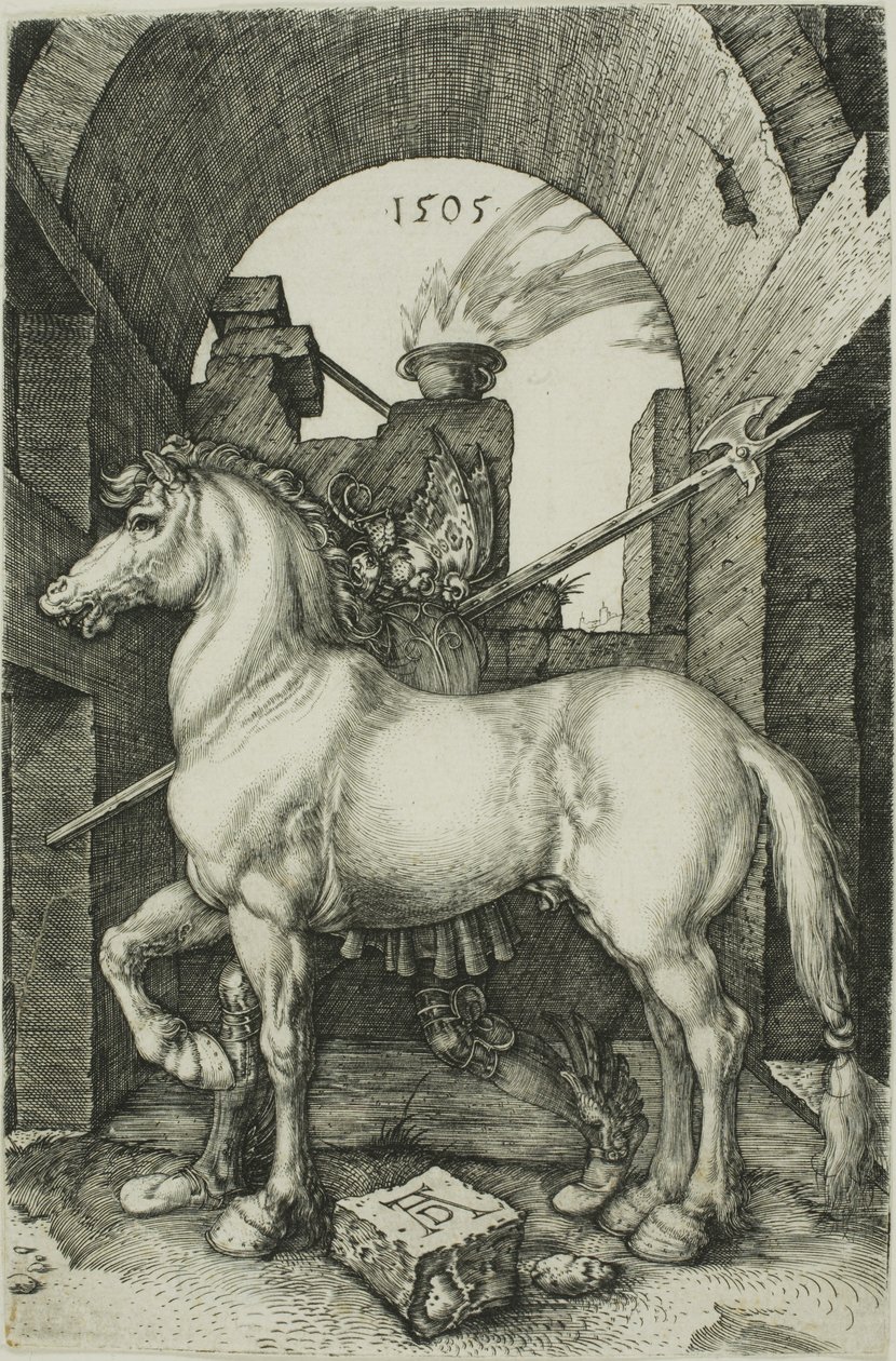 Mały Koń autorstwa Albrecht Dürer