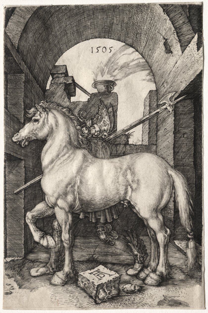 Mały Koń autorstwa Albrecht Dürer