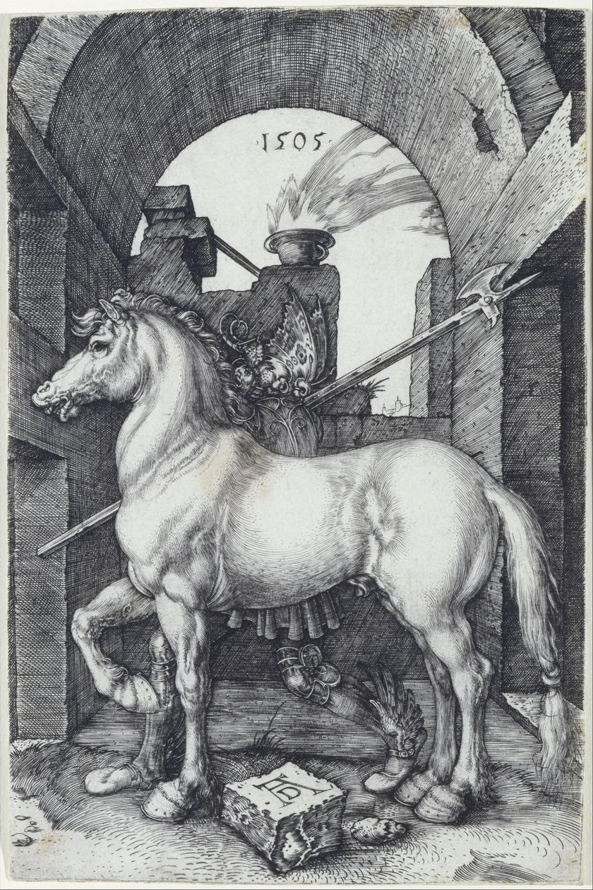 Mały koń autorstwa Albrecht Dürer