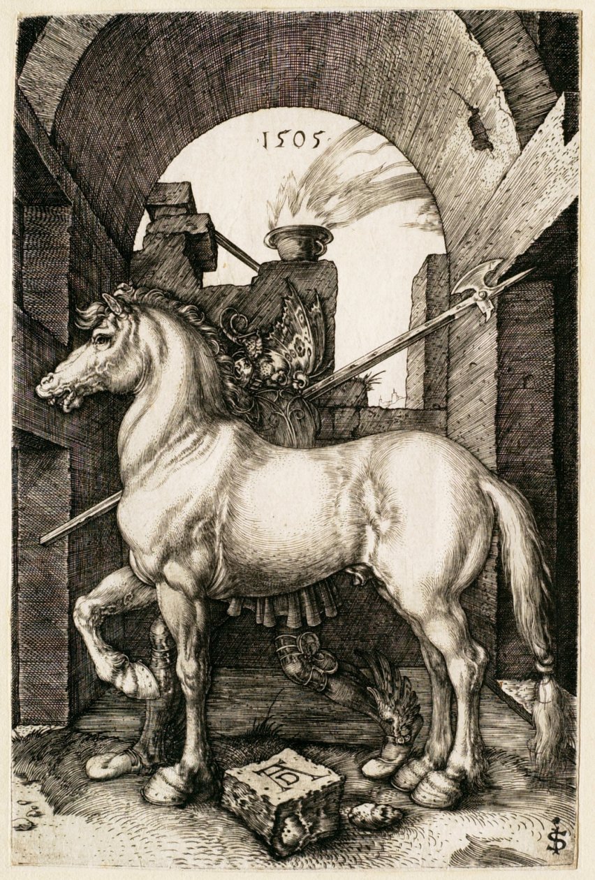 Mały koń autorstwa Albrecht Dürer