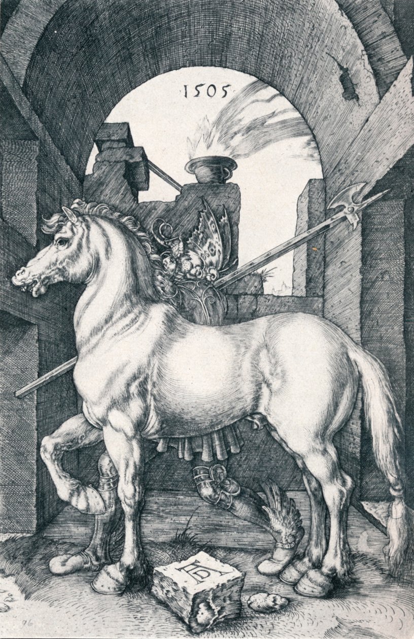 Mały Koń, 1505 1906 autorstwa Albrecht Dürer