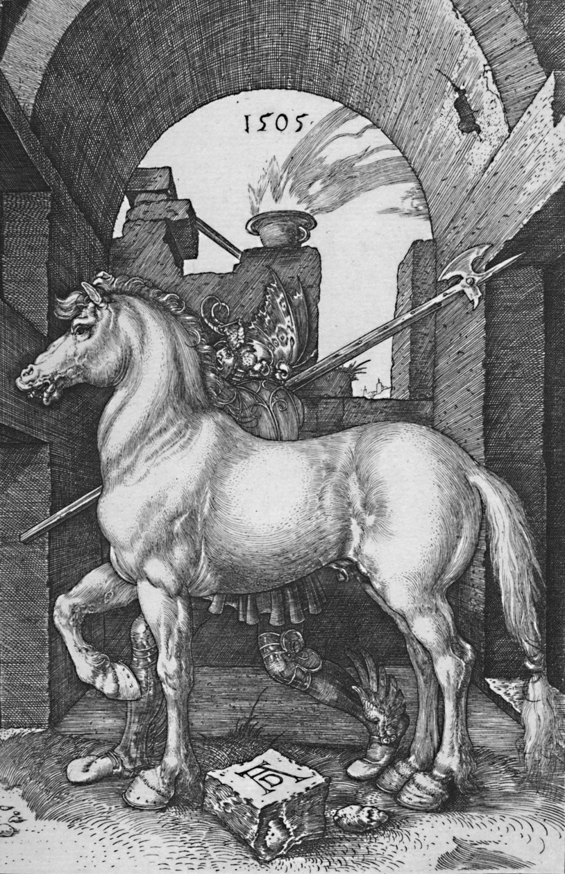 Mały koń, 1505, 1906 autorstwa Albrecht Dürer