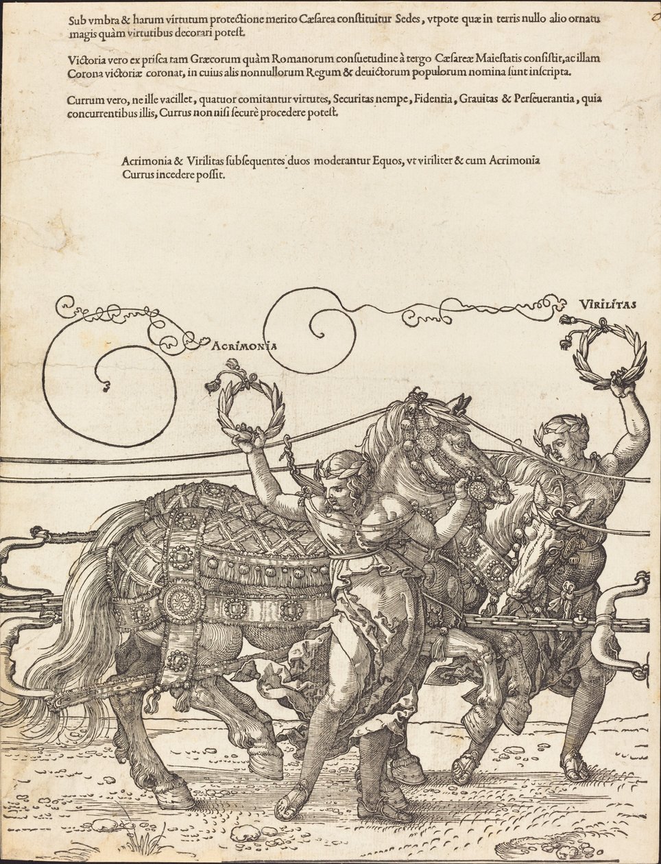 Rydwan triumfalny Maksymiliana I (Wielki Wagon Triumfalny) [tablica 6 z 8] autorstwa Albrecht Dürer