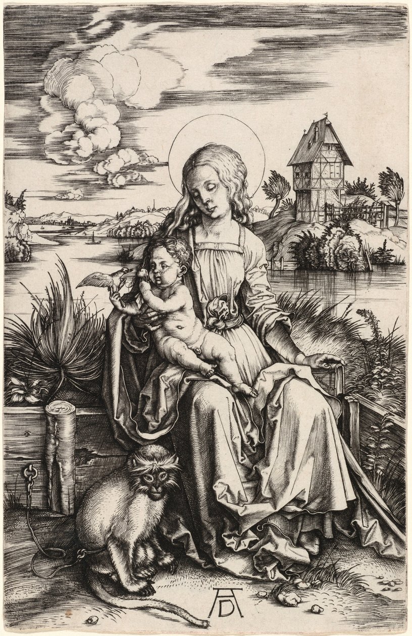 Madonna z Dzieciątkiem i małpką autorstwa Albrecht Dürer