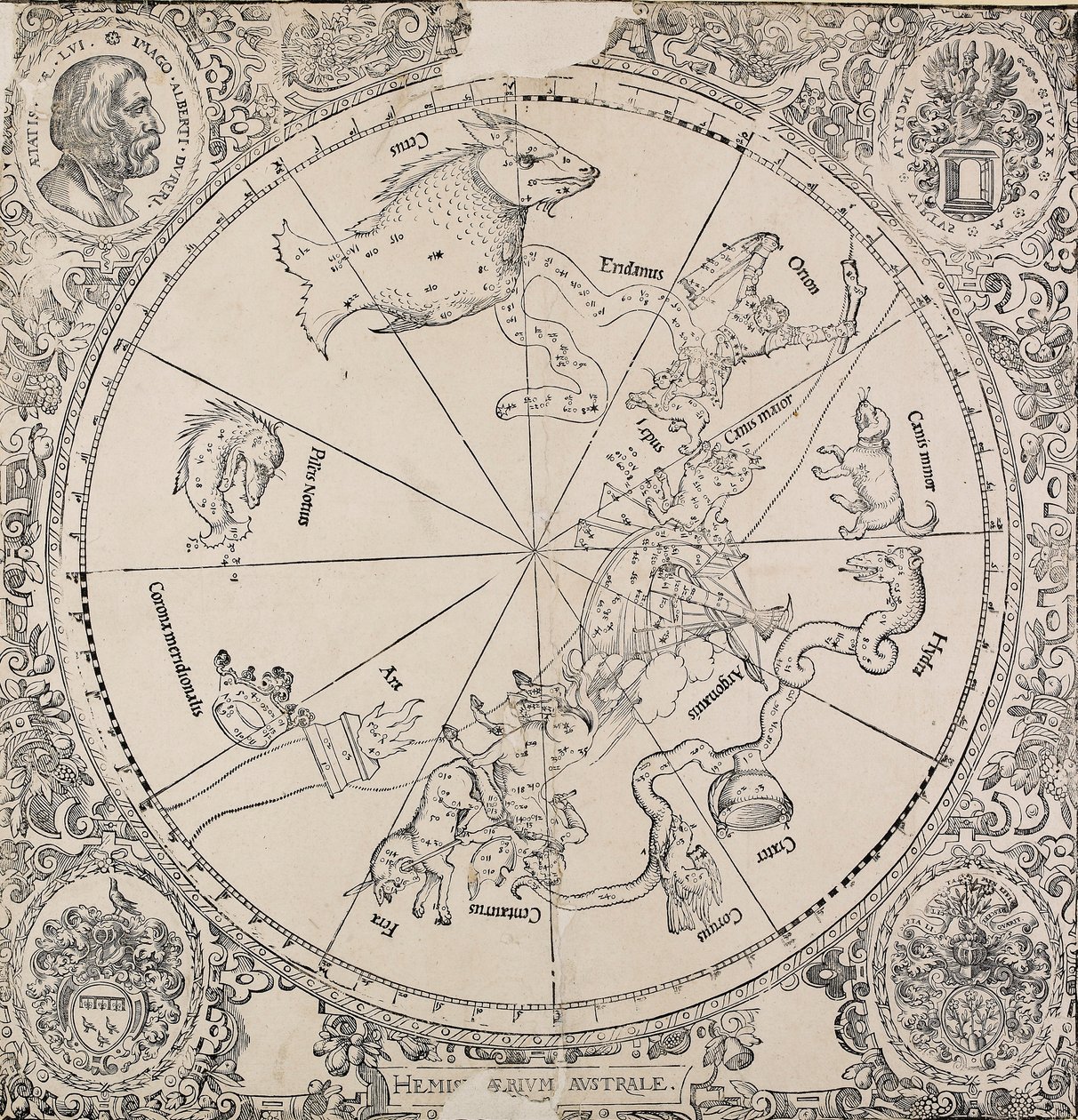 Mapa szkieletowa półkuli południowej, początek XVI wieku autorstwa Albrecht Dürer