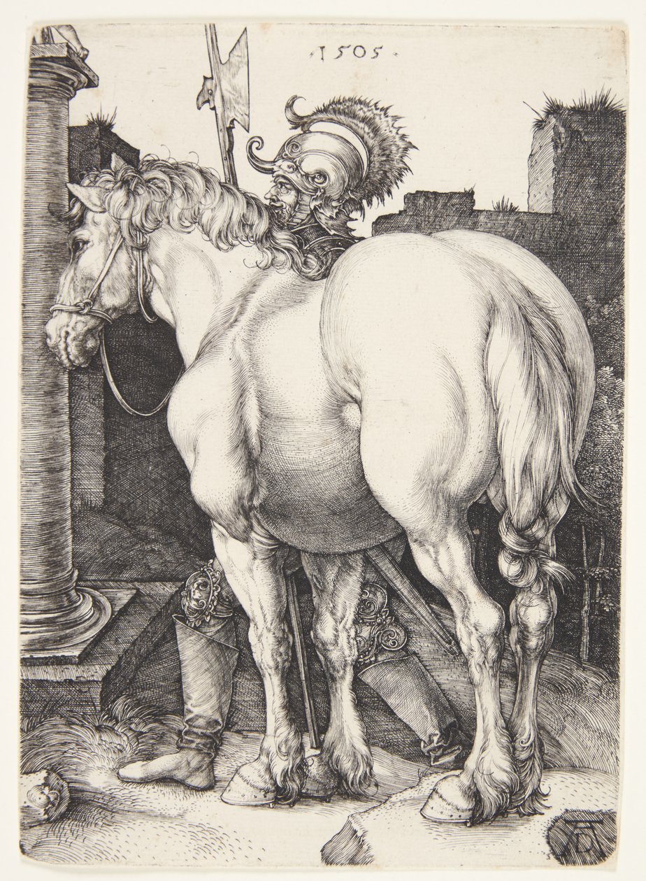 Duży koń autorstwa Albrecht Dürer
