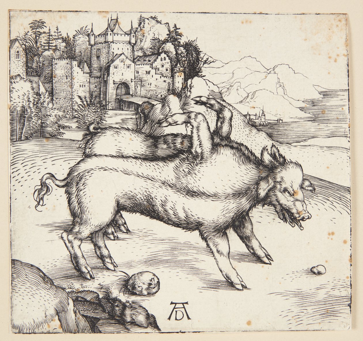 Potworna locha Landsera autorstwa Albrecht Dürer
