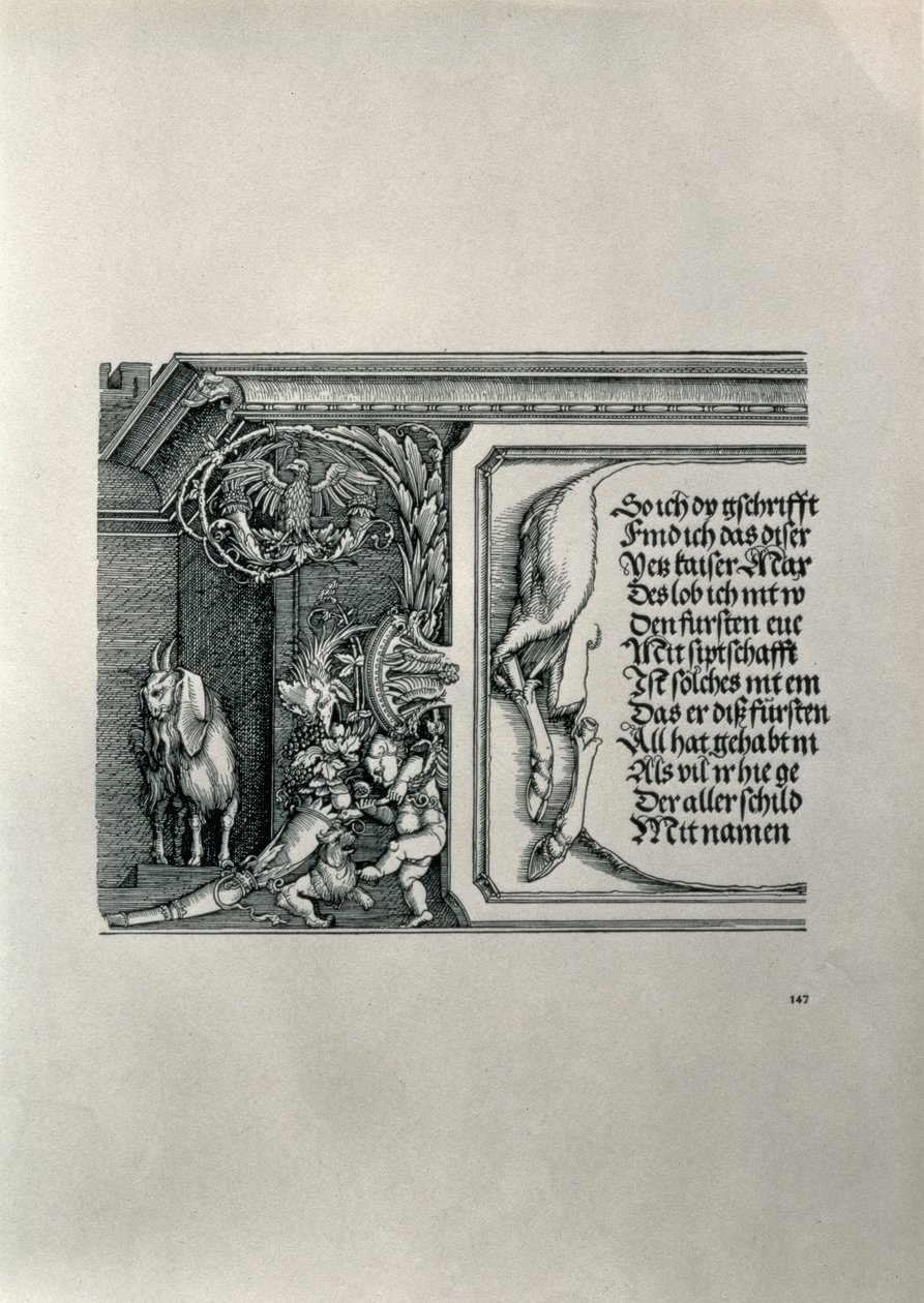 Łuk triumfalny cesarza Maksymiliana I Niemiec 1459-1519: fragment skóry jelenia z napisem wychwalającym związki rodowe cesarzy, z kozą z miękkimi uszami, symbolem wyostrzonego słuchu wszystkich autorstwa Albrecht Dürer