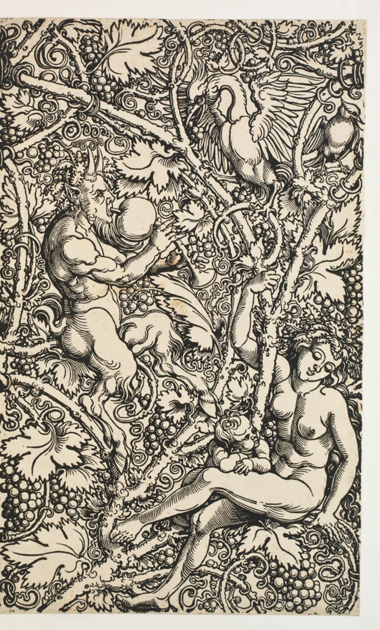Dwa wzory na gobelin z satyrrodziną autorstwa Albrecht Dürer