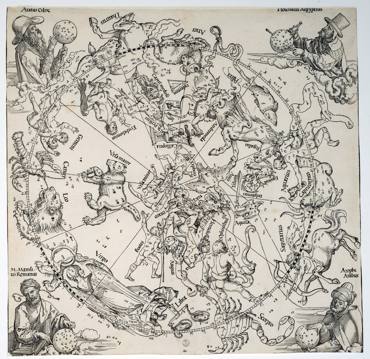 Nieznany obraz autorstwa Albrecht Dürer