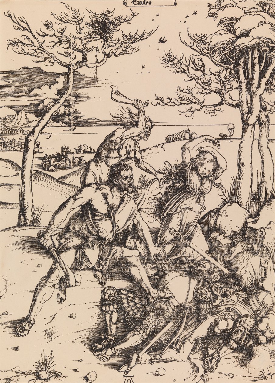 Bez tytułu autorstwa Albrecht Dürer
