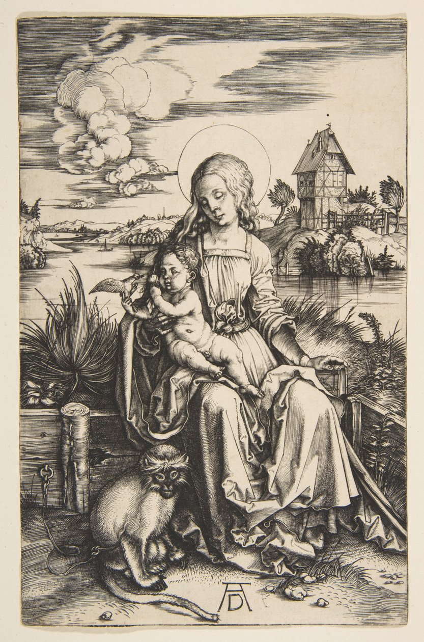 Madonna z Dzieciątkiem i małpą autorstwa Albrecht Dürer