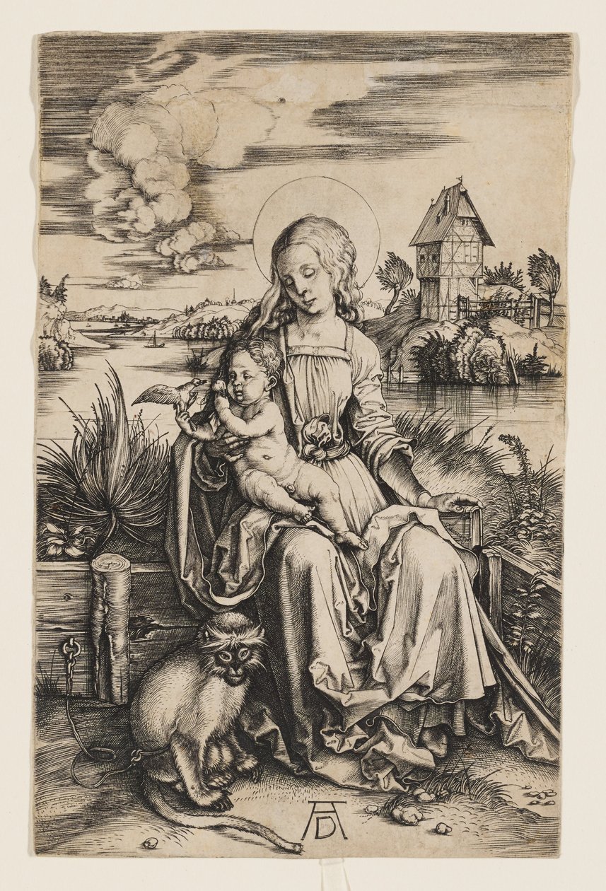 Matka Boska z Dzieciątkiem i małpą autorstwa Albrecht Dürer