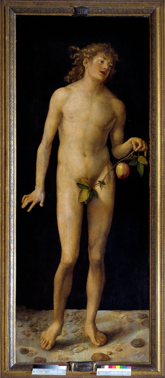 Obraz Adama Albrechta Durera (1471-1528) 1507 nd. 2,09 x 0,80 m Madryt, Muzeum Prado - Adam. Obraz Albrechta Durera (1471-1528), olej na desce autorstwa Albrecht Dürer