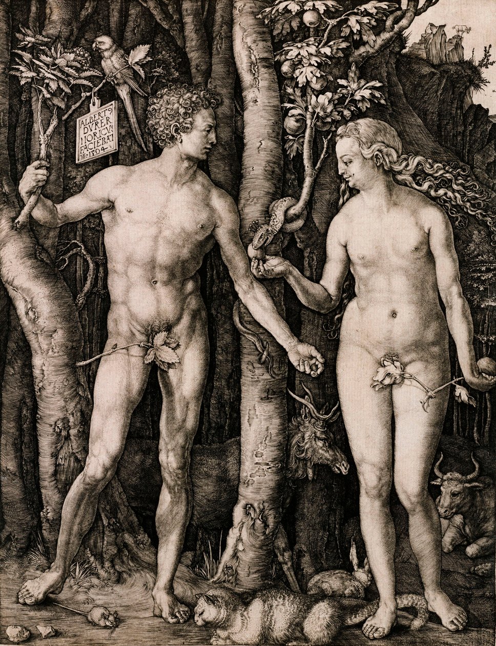 Adam i Ewa autorstwa Albrecht Dürer