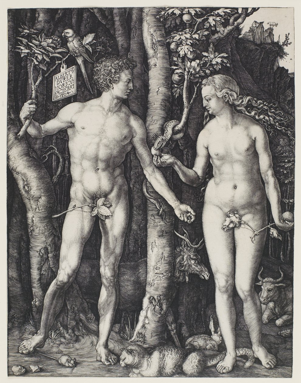 Adam i Ewa autorstwa Albrecht Dürer