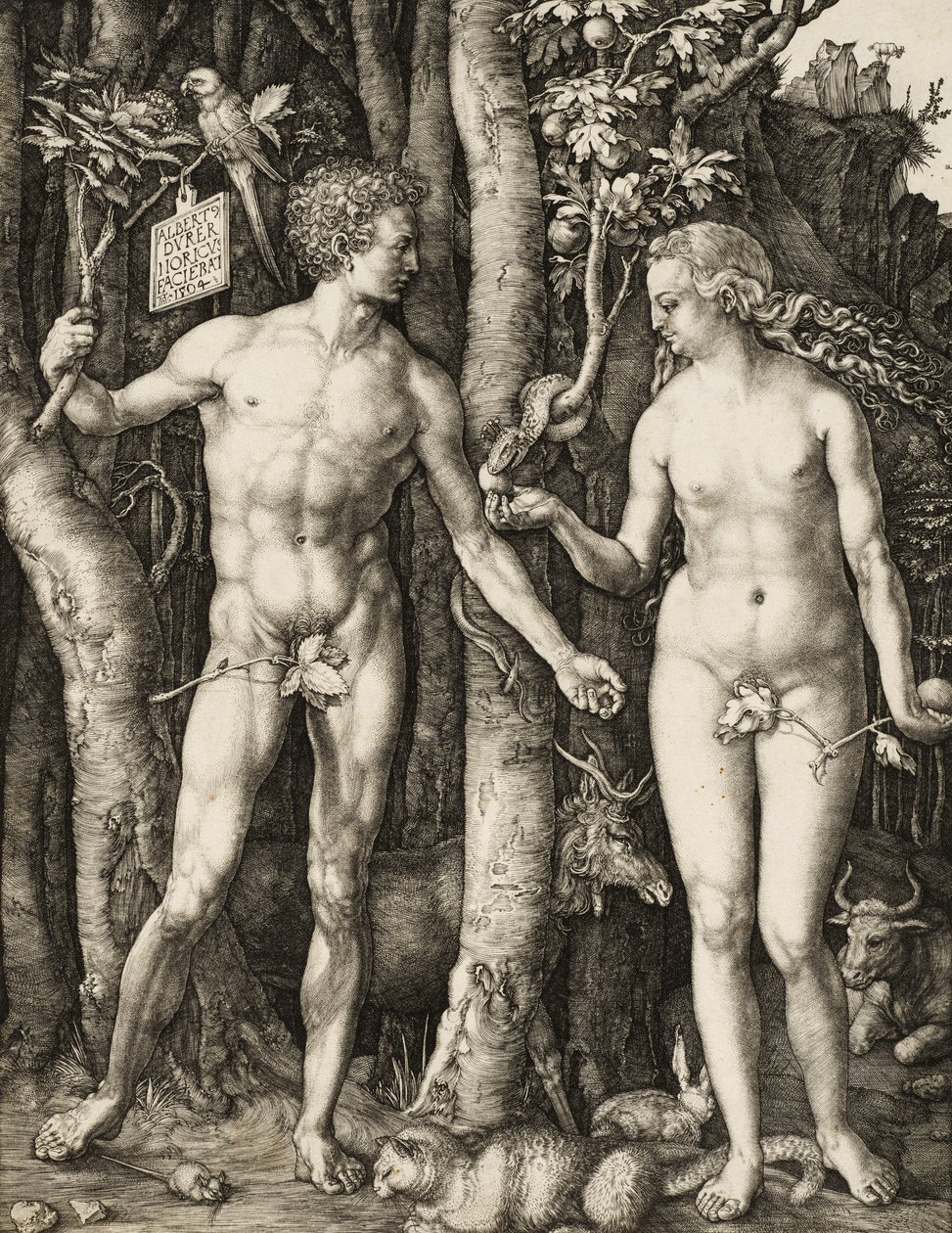 Adam i Ewa autorstwa Albrecht Dürer