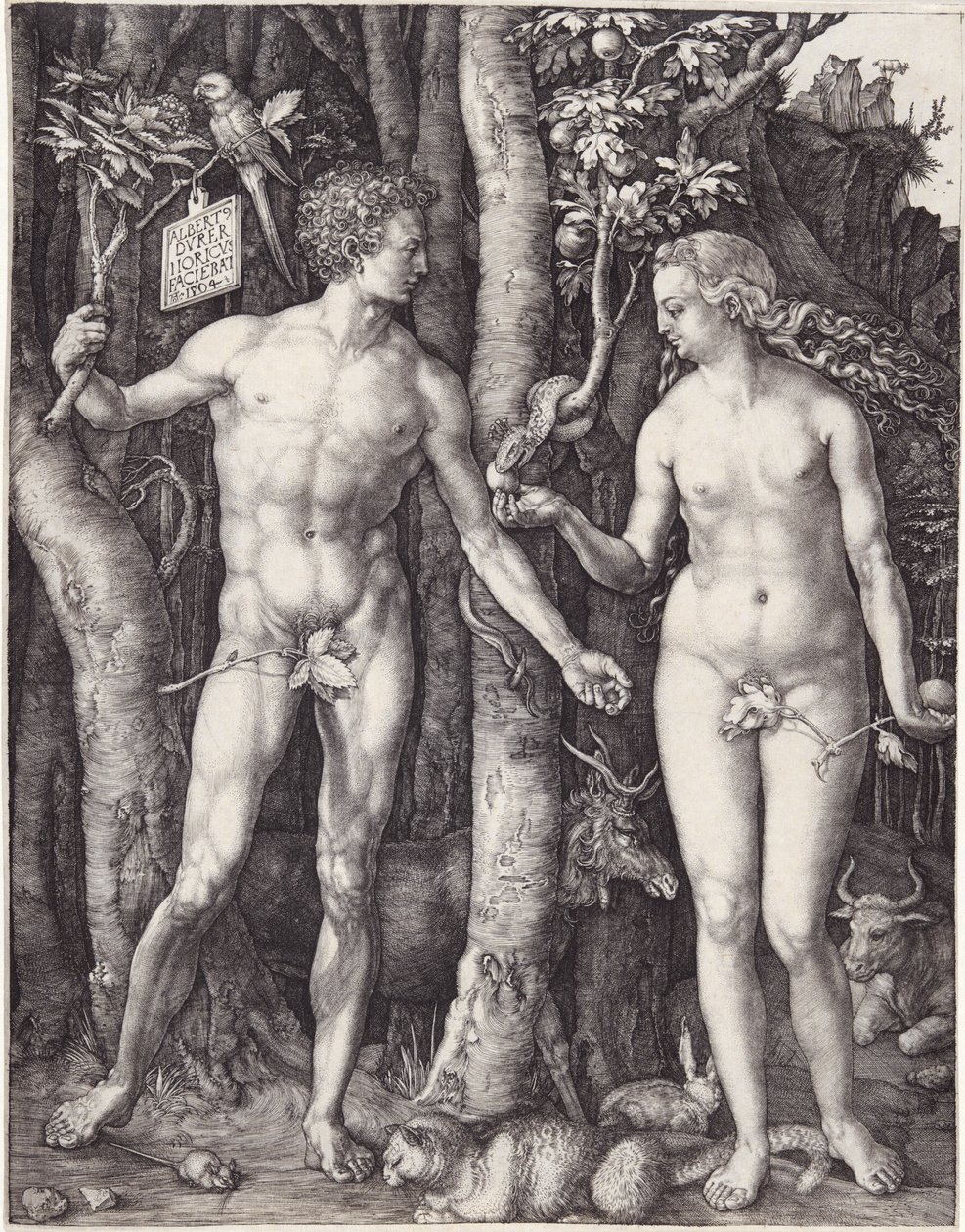 Adam i Ewa, wyd. 1504 (grawerowanie) autorstwa Albrecht Dürer