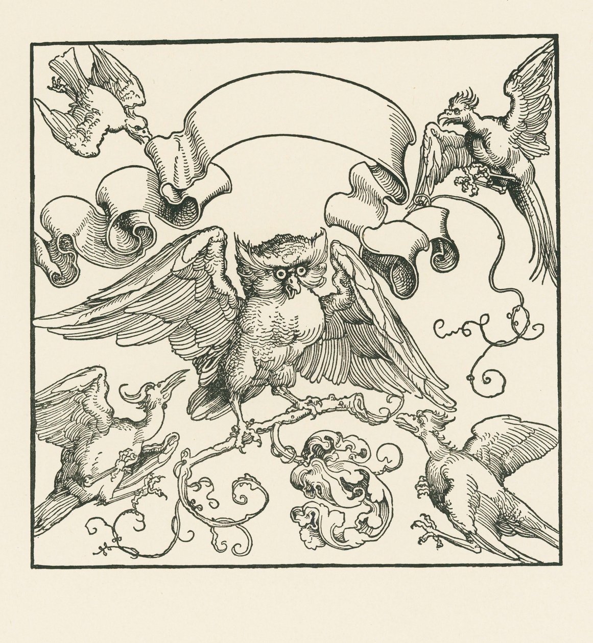 Sowa zaatakowana przez cztery inne ptaki, ok. 1515 r. (drzeworyt) autorstwa Albrecht Dürer or Duerer