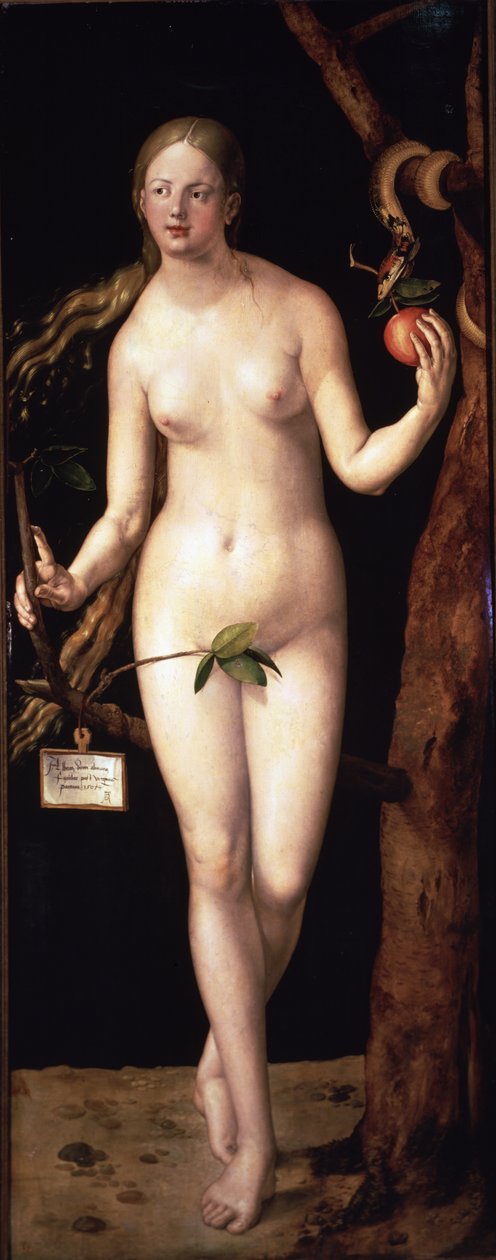  autorstwa Albrecht Dürer or Duerer