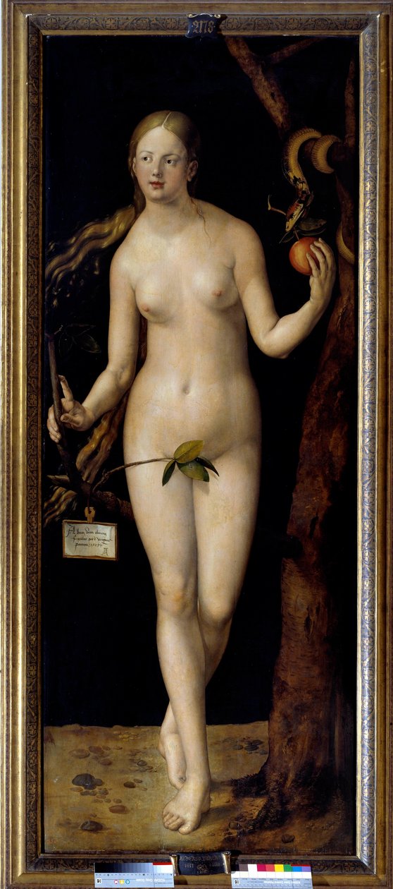 Ewa Malarstwo Albrechta Durera (1471-1528), olej na drewnie autorstwa Albrecht Dürer