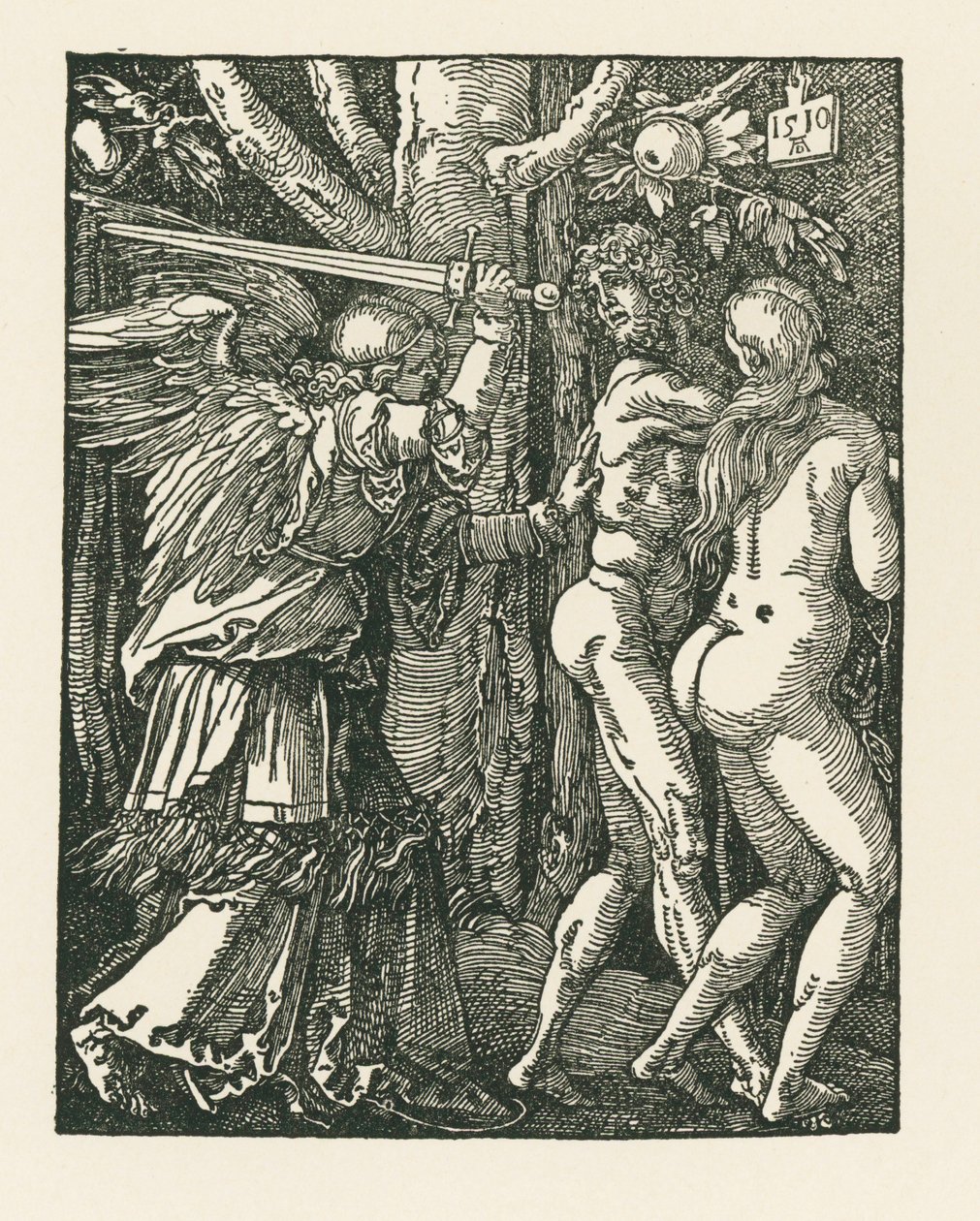 Wydalenie z raju autorstwa Albrecht Dürer or Duerer