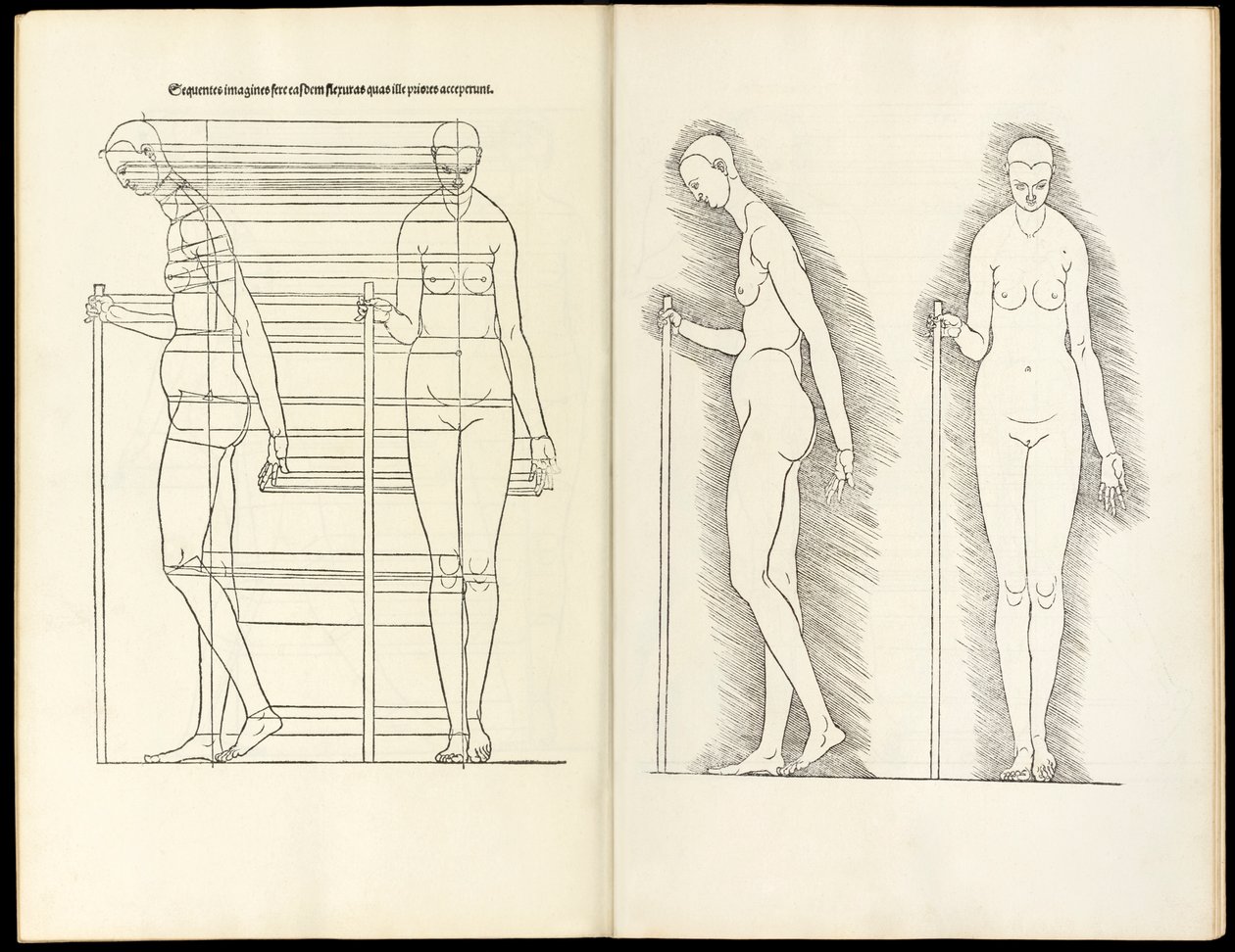 Kobieta z laską, drzeworyt anatomiczny z Herein zawiera cztery księgi o proporcjach ludzkich, 1528 autorstwa Albrecht Dürer