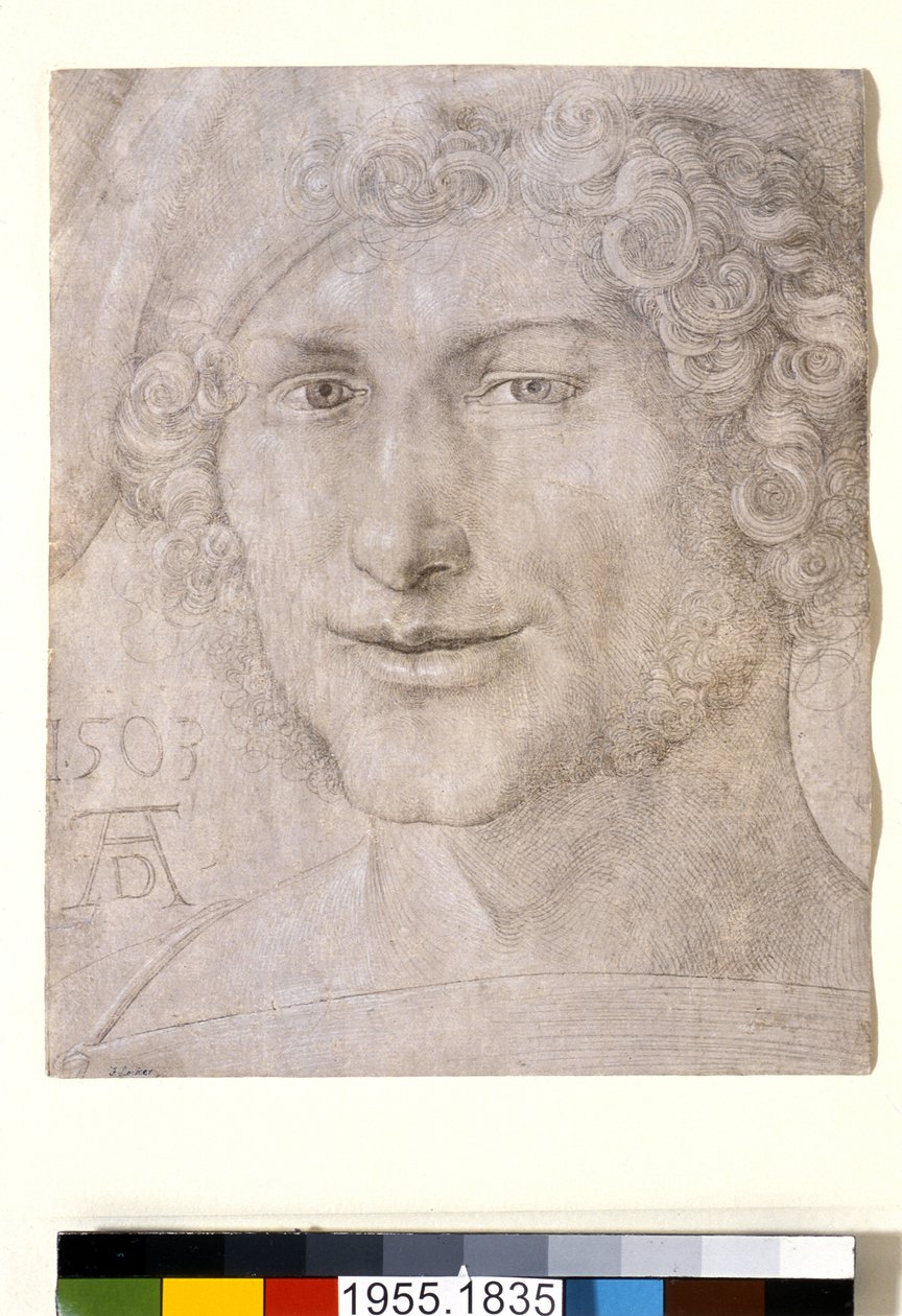 Głowa młodego mężczyzny, 1503 autorstwa Albrecht Dürer