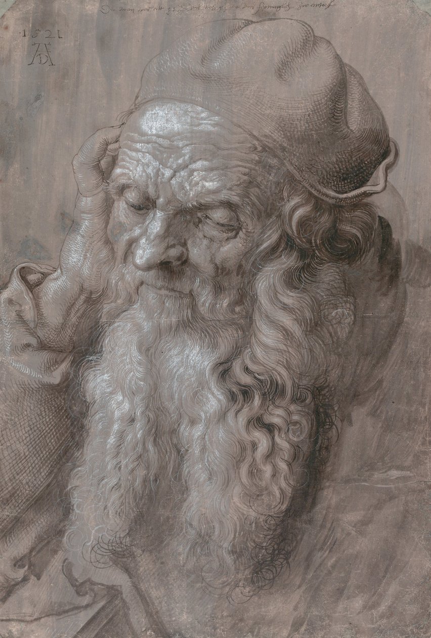 Głowa starego człowieka autorstwa Albrecht Dürer