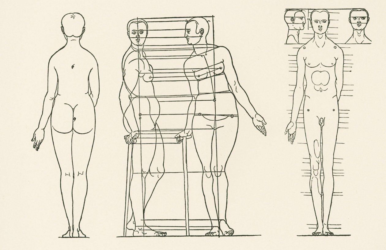 Ilustracja z traktatu Albrechta Duerera o zasadach proporcji autorstwa Albrecht Dürer or Duerer