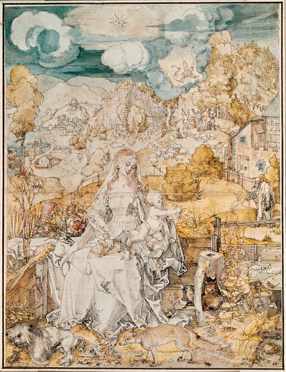Madonna z mnóstwem zwierząt (akwarela, pióro i pędzel na papierze) autorstwa Albrecht Dürer or Duerer