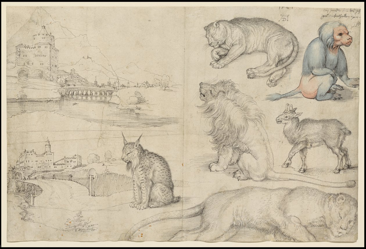 Szkice zwierząt i krajobrazów, 1521 autorstwa Albrecht Dürer