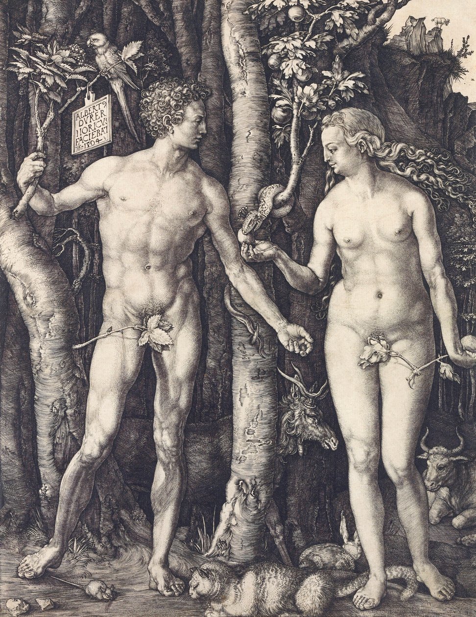 Upadek człowieka – Albrecht Durer autorstwa Albrecht Dürer