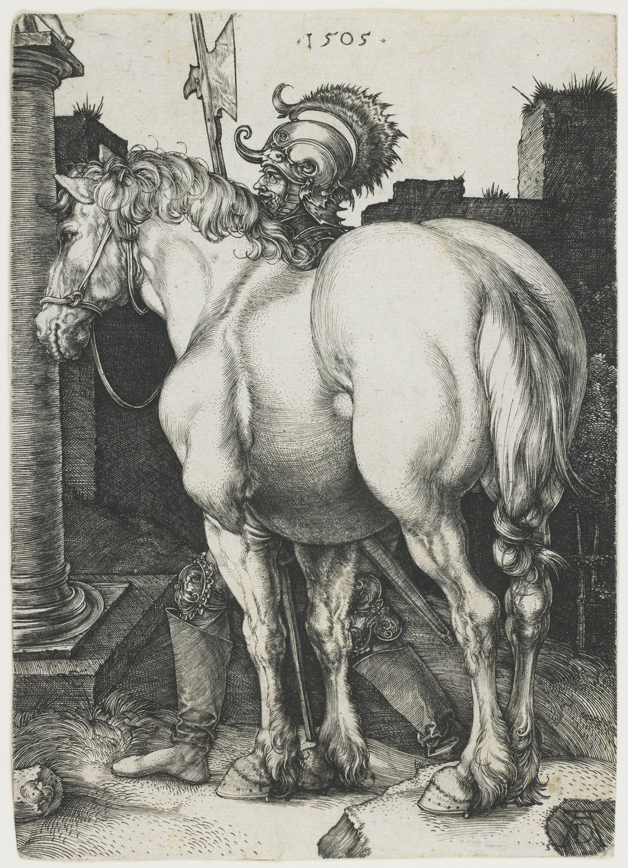 Wielki Koń autorstwa Albrecht Dürer