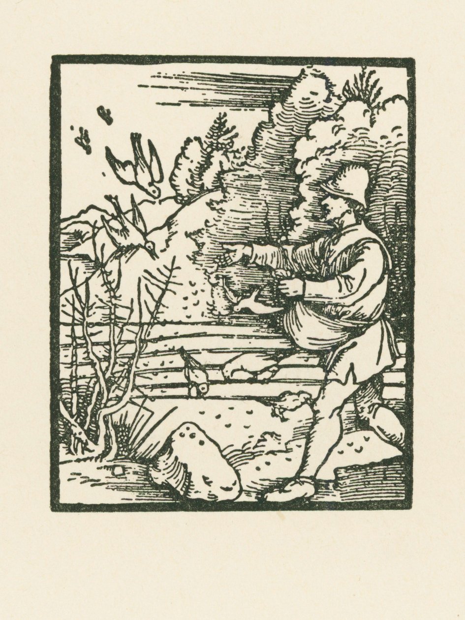 Przypowieść o siewcy autorstwa Albrecht Dürer or Duerer