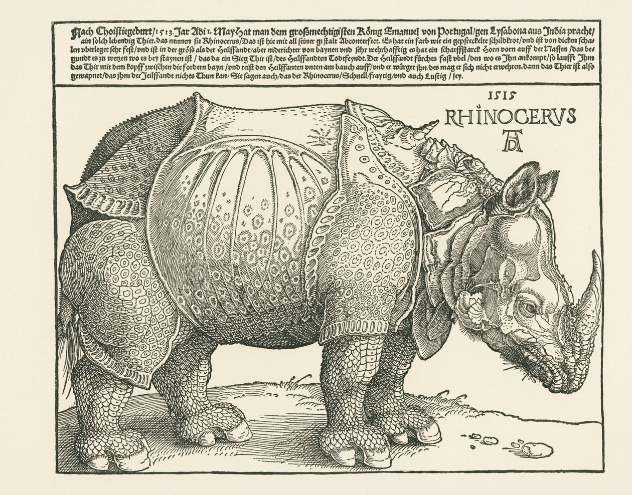 Nosorożec autorstwa Albrecht Dürer or Duerer